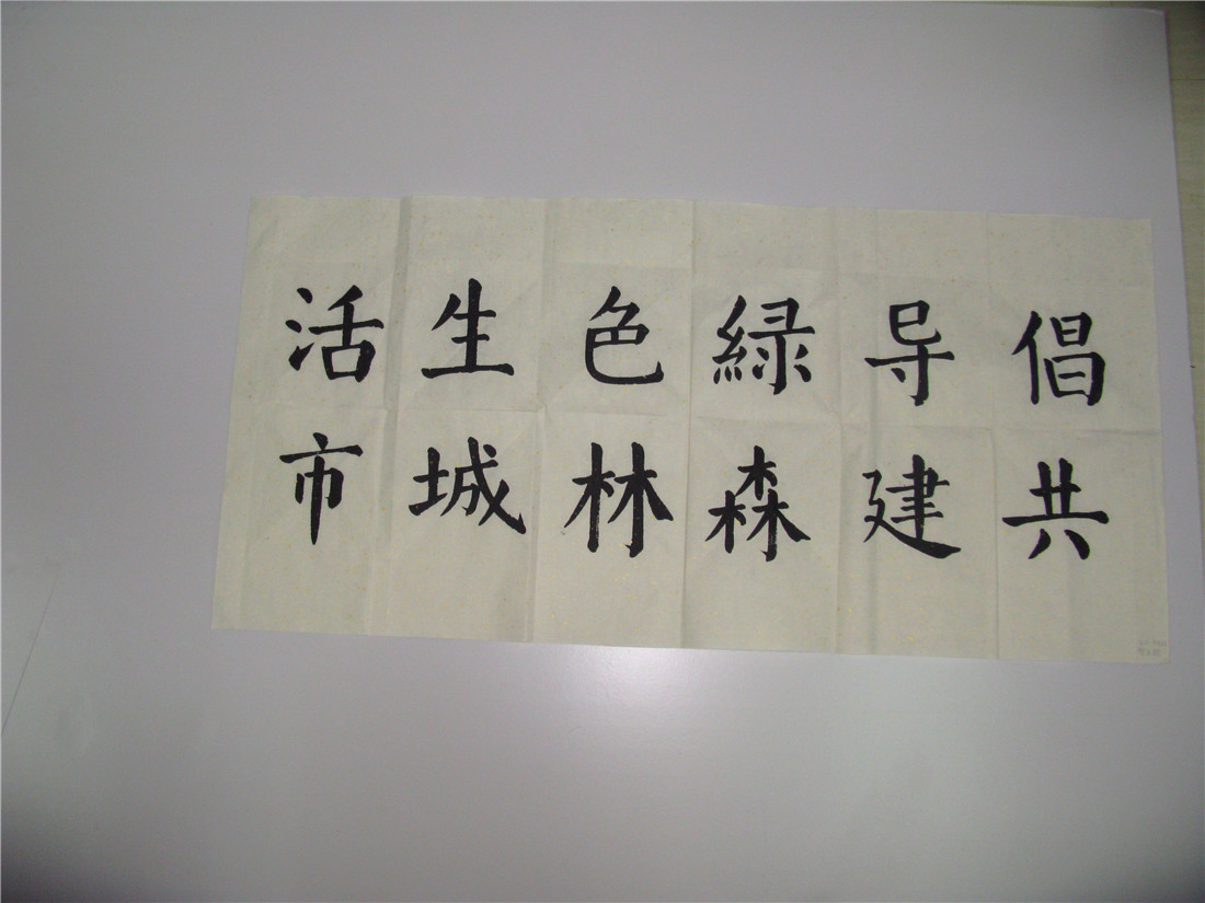 激发学生热爱森林,保护森林的热情,培养学生树立良好的生态文明理念与
